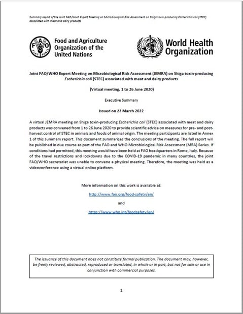 Joint FAO/WHO Expert Meeting on Microbiological Risk Assessment on Shiga toxin-producing Escherichia coli (STEC) associated with meat and dairy products