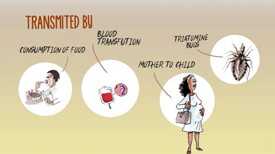 Chagas disease - what's that?