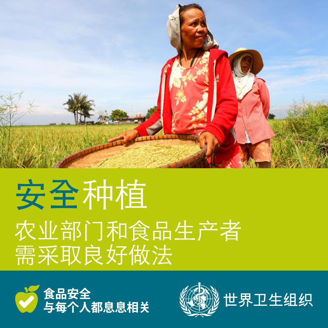 安全种植